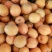水果杏桃