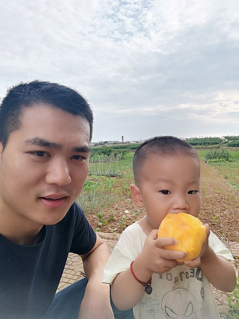枣阳锦绣甜黄桃二号净重5斤