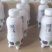 果汁牛奶1*15*330毫升
