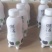 果汁牛奶1*15*330毫升