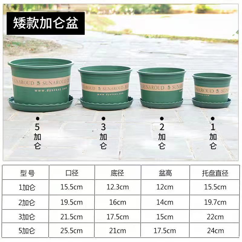 花盆加仑盆塑料花盆批发花盆月季花盆阳台客厅专用花盆特大号