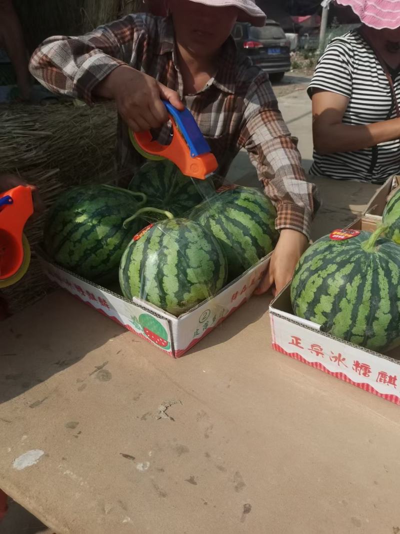 精品美都西瓜，八到九成半熟度，有专业打瓜师，欢迎咨询！
