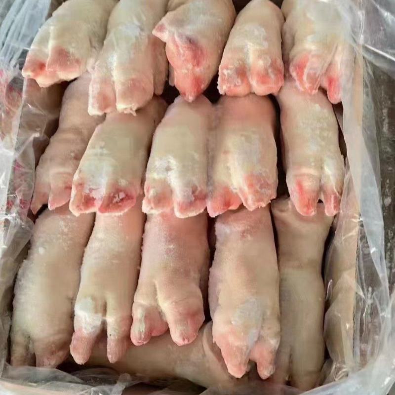 精品猪蹄母猪蹄一级母猪蹄13—15供应各种猪蹄