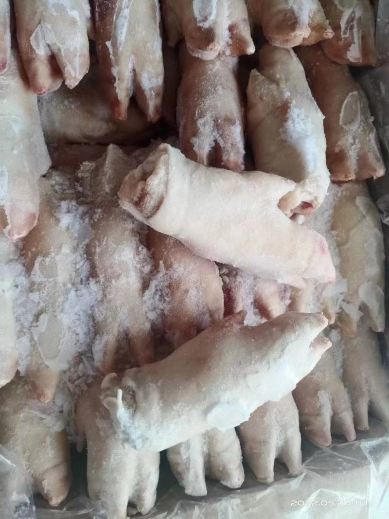 精品猪蹄母猪蹄一级母猪蹄13—15供应各种猪蹄