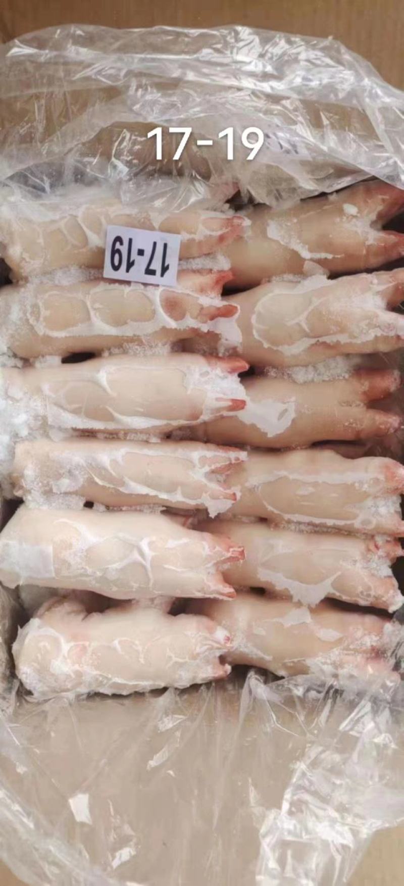 精品猪蹄母猪蹄一级母猪蹄13—15供应各种猪蹄
