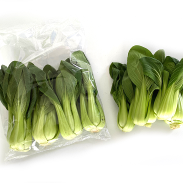 优质上海青油菜青菜，可定制包装，可长期稳定供应