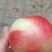 精品黄心，白心油桃大量供应中，欢迎新老客户前来选购。