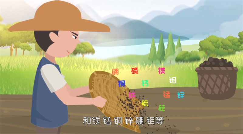 生物质发电厂秸秆肥钾肥草木灰抑制病虫害增加肥效