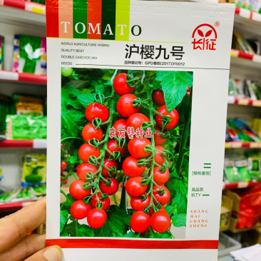 长征沪樱九号樱桃番茄种子抗病毒粉红色小番茄甜脆无渣