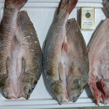 鲜冻草鱼腕鱼-海宝湾冻品