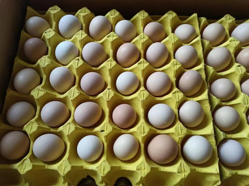 初生蛋27-29斤小土鸡蛋草鸡蛋笨鸡蛋