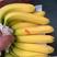专营一级香蕉，一级青蕉二黄蕉，无损耗，针对各种电商，超市