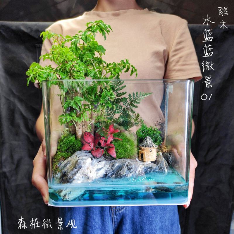 夏日微景观