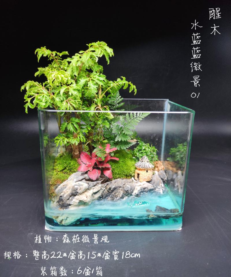 夏日微景观