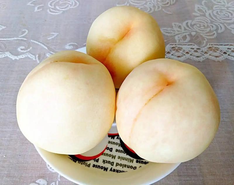 新沂水蜜桃🍑白桃白凤大量上市专业代办质量保证