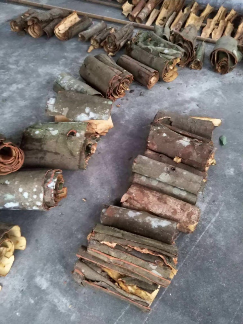 广西桂皮统货皮厚味浓足干中国肉桂之乡产地直供