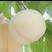 新沂桃水蜜桃🍑白桃已经上市专业代办质量保证
