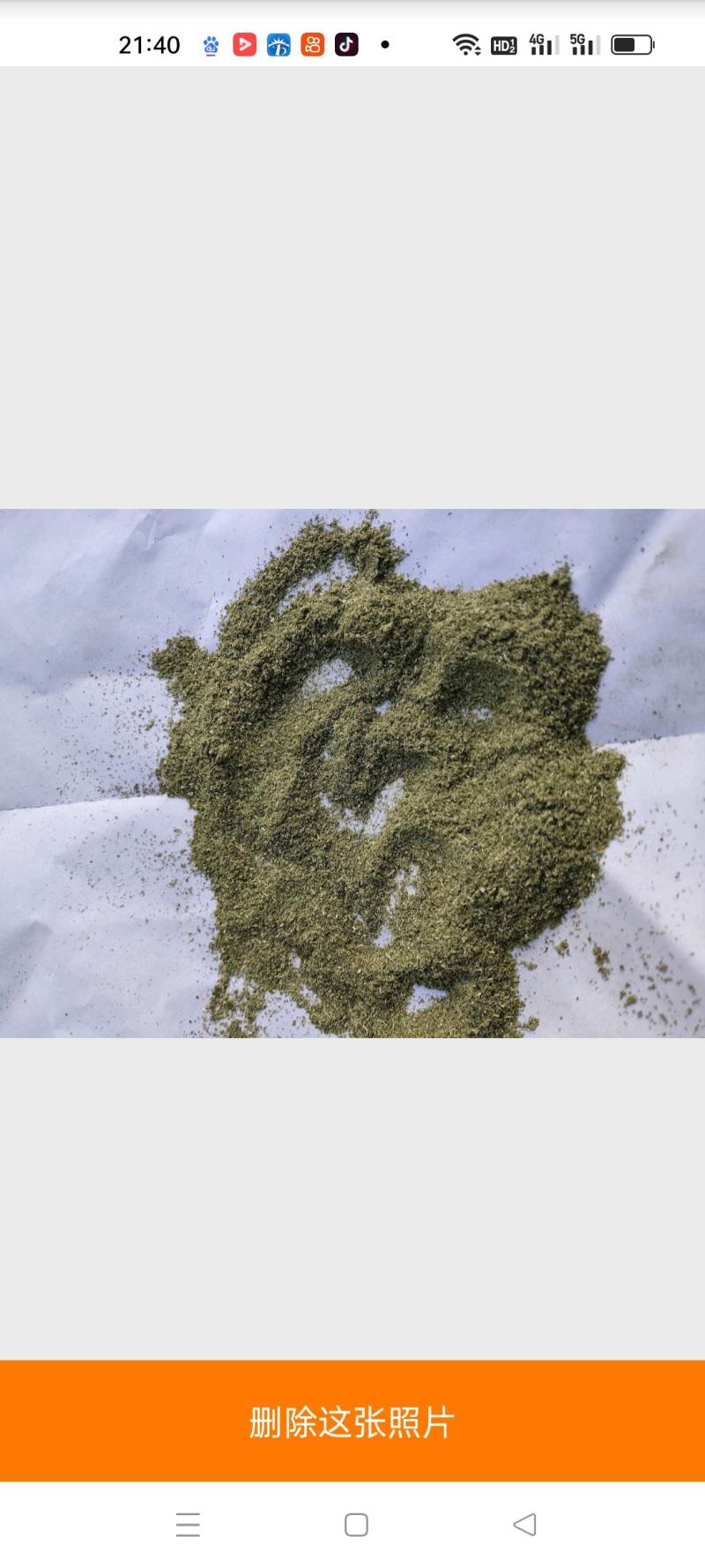 益母草原料粉两个规格供应批发不含运费批发零售