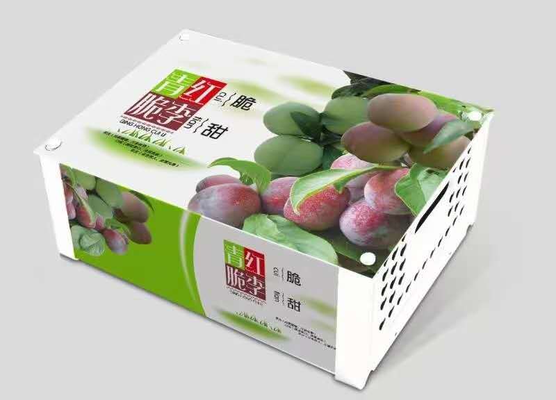 （凤凰李）五月脆清脆李半边红（茵红李）一件代发