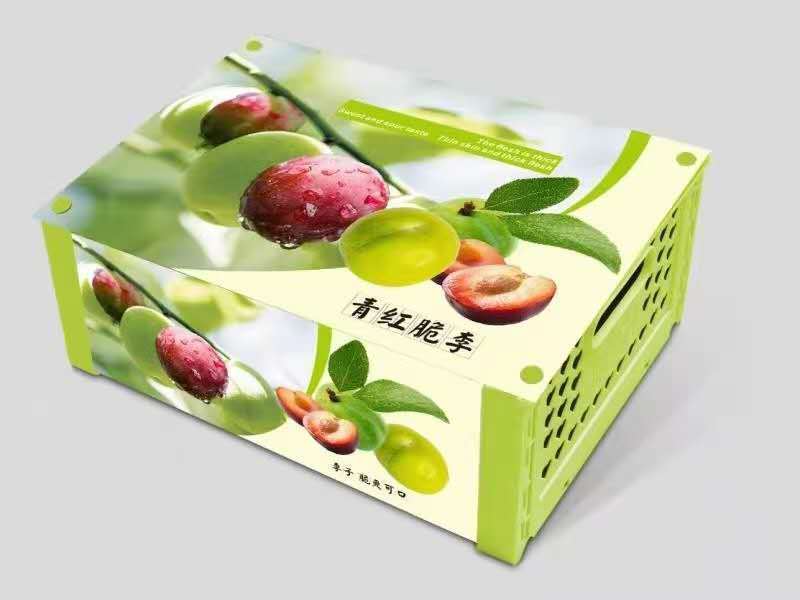 （凤凰李）五月脆清脆李半边红（茵红李）一件代发