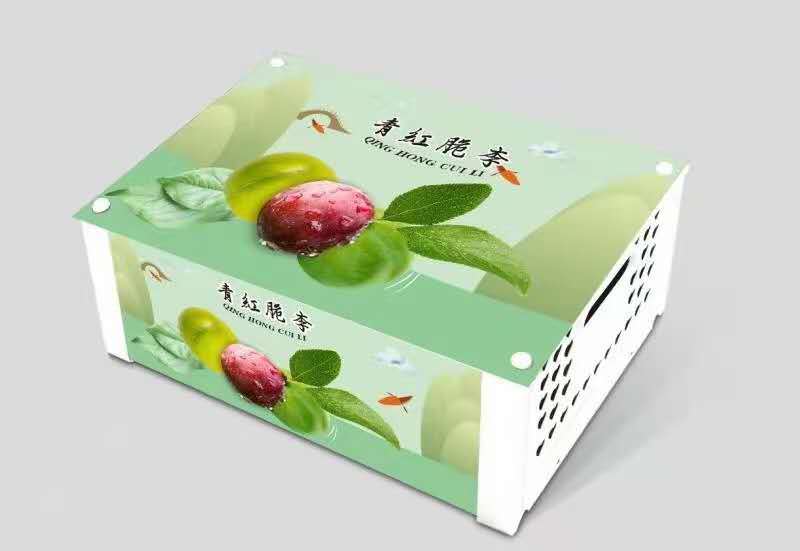 （凤凰李）五月脆清脆李半边红（茵红李）一件代发
