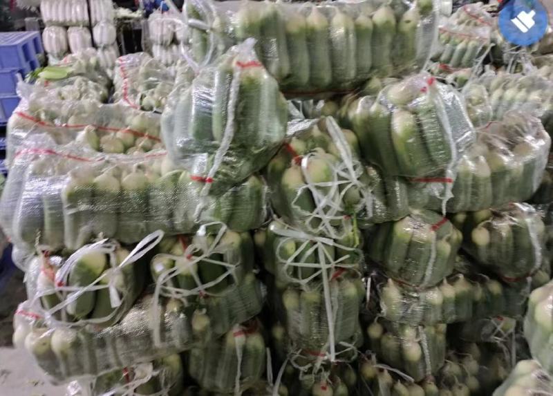 湖北精品水果萝卜产地直发看货论价保质保量欢迎定购