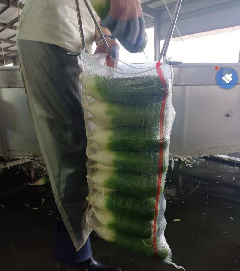 湖北精品水果萝卜产地直发看货论价保质保量欢迎定购