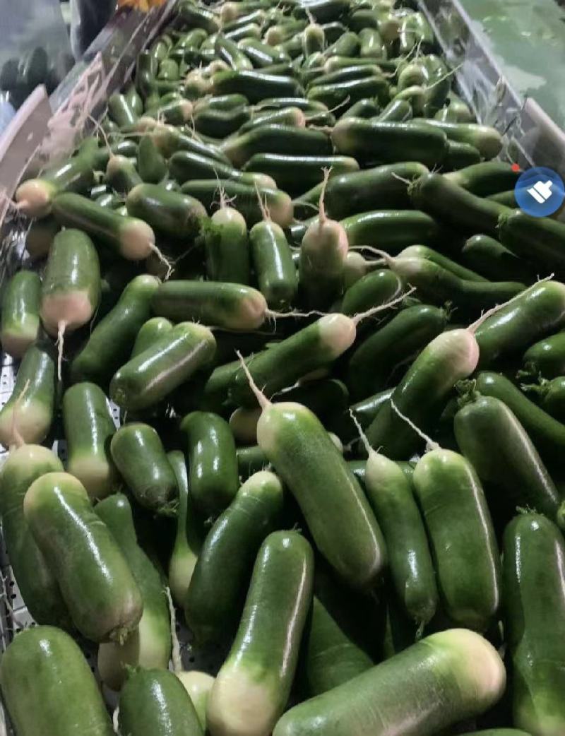 湖北精品水果萝卜产地直发看货论价保质保量欢迎定购