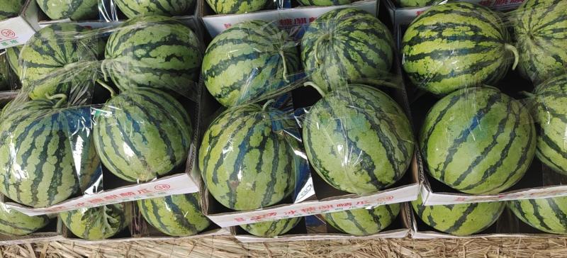 甜王西瓜🍉质量好，代发全国各地，欢迎，各位老板与我联系