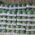 甜王西瓜🍉质量好，代发全国各地，欢迎，各位老板与我联系