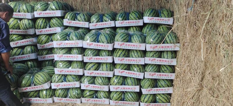 甜王西瓜🍉质量好，代发全国各地，欢迎，各位老板与我联系