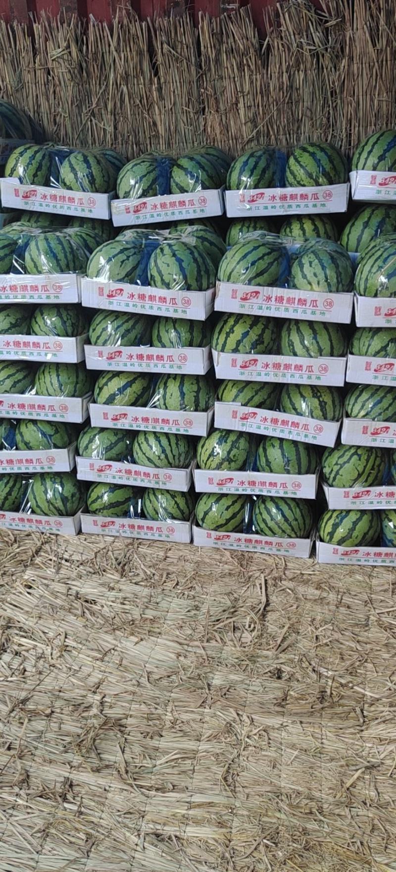 甜王西瓜🍉质量好，代发全国各地，欢迎，各位老板与我联系