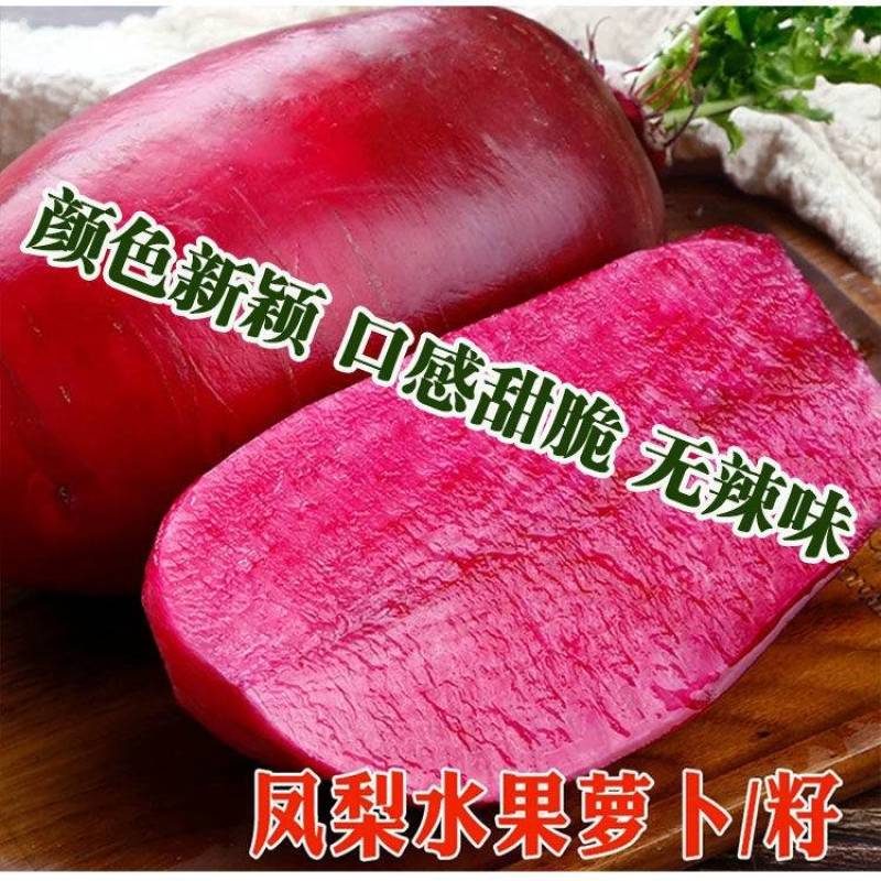 凤梨水果萝卜种子红皮红肉甜脆爽口生吃水果萝卜种子