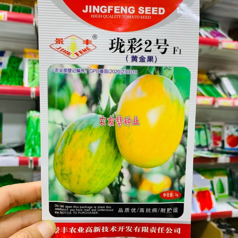 珑彩2号黄金果水果番茄种子口味香甜沙面细腻四季种植