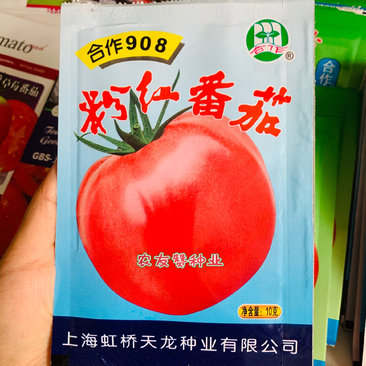 正品上海合作908粉红番茄种子高圆粉果西红柿种子酸甜