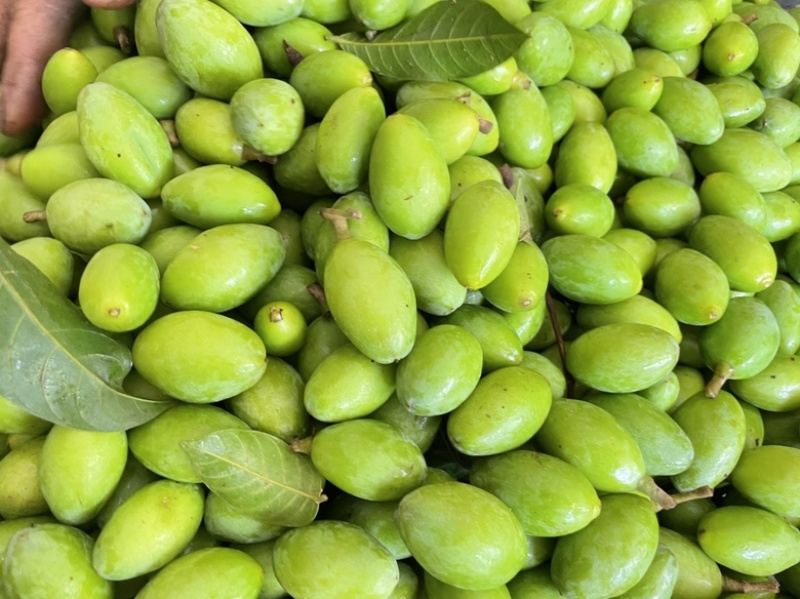 2026新鲜青橄榄,广东普宁橄榄,批发,煲汤生吃