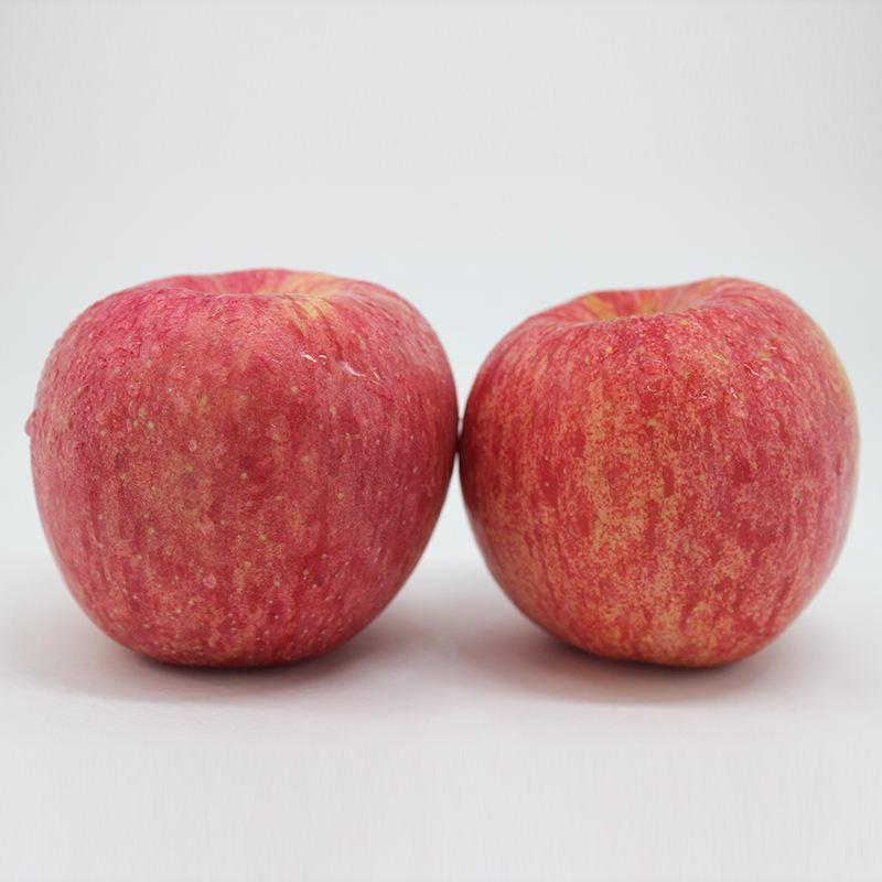 红富士苹果产地批发货源足价格低质量好有需要的老板联系