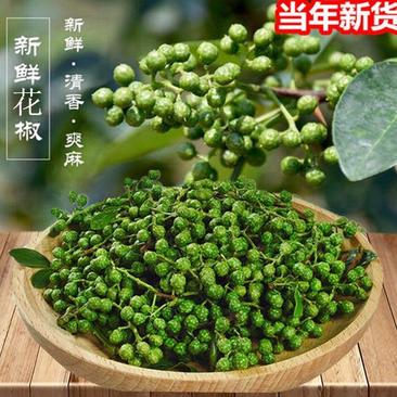 贵州野生青花椒——产地直发一首货源全国批发价格低