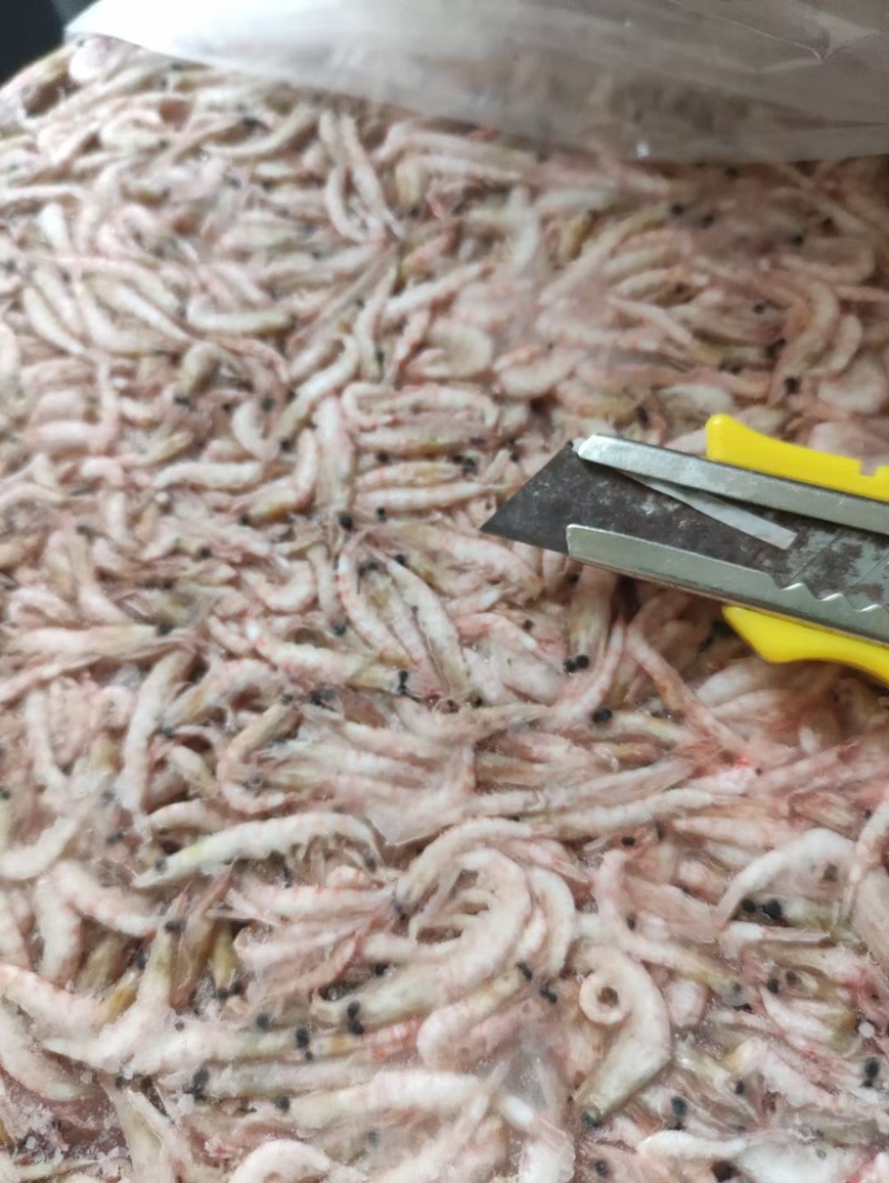 南极磷虾，大量供应ML双L现货，欢迎咨询价格