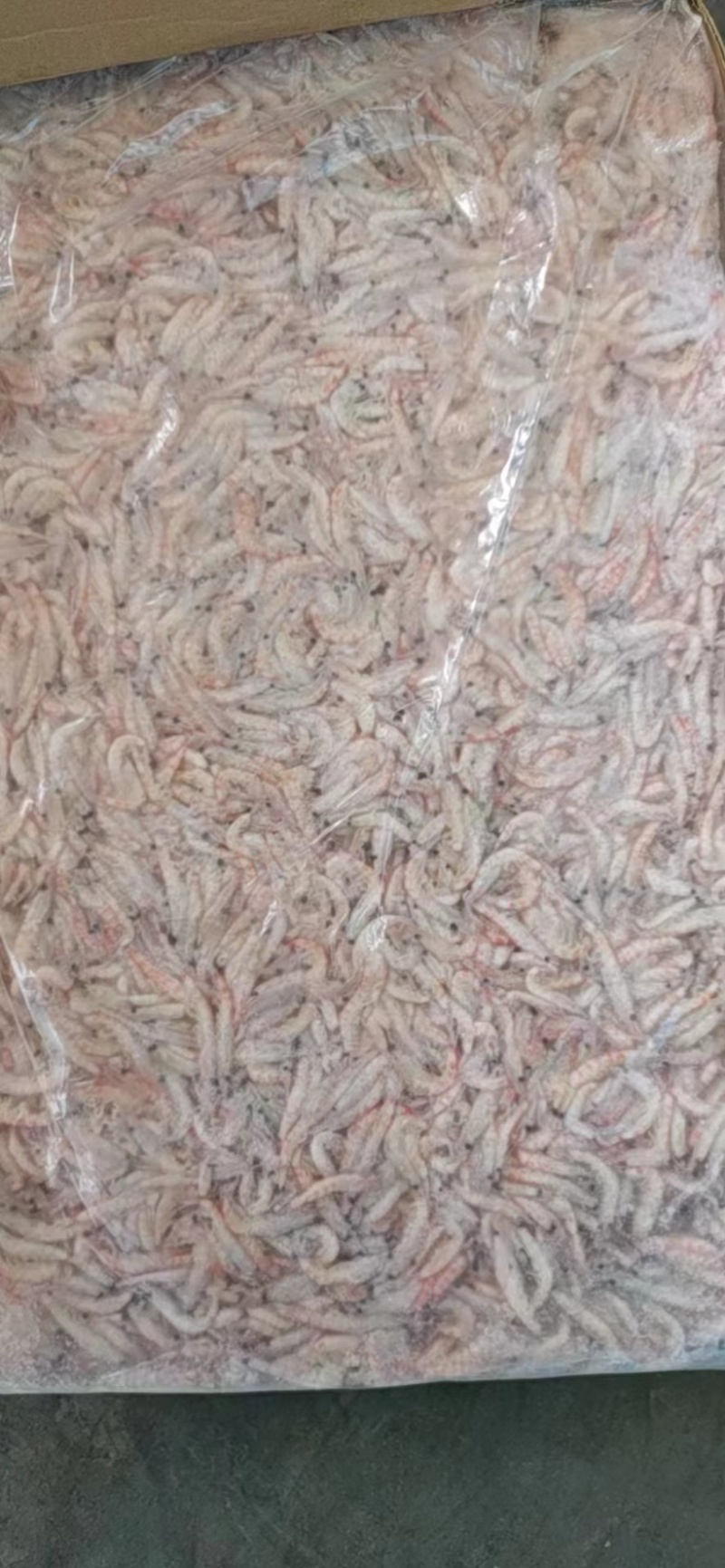 南极磷虾，大量供应ML双L现货，欢迎咨询价格