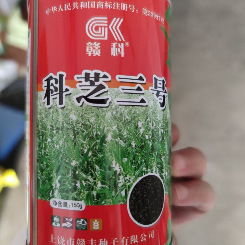 科芝三号黑芝麻种子，150克