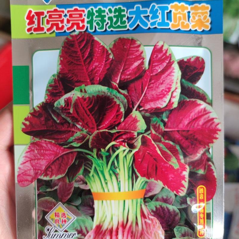 红亮亮大红苋菜种子，500克，耐热