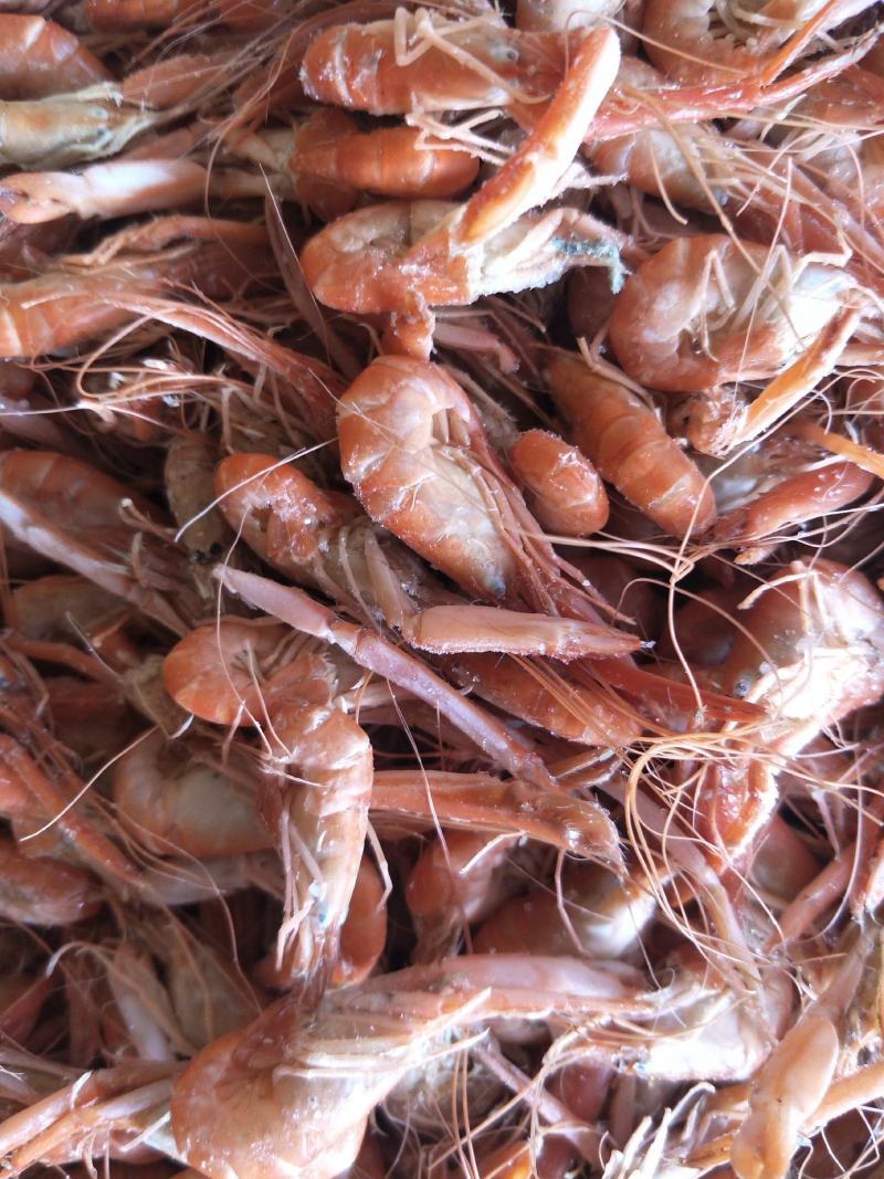 金勾海米，虾皮，淡干无盐虾皮，对虾米，烤虾，风尾鱼，磷虾