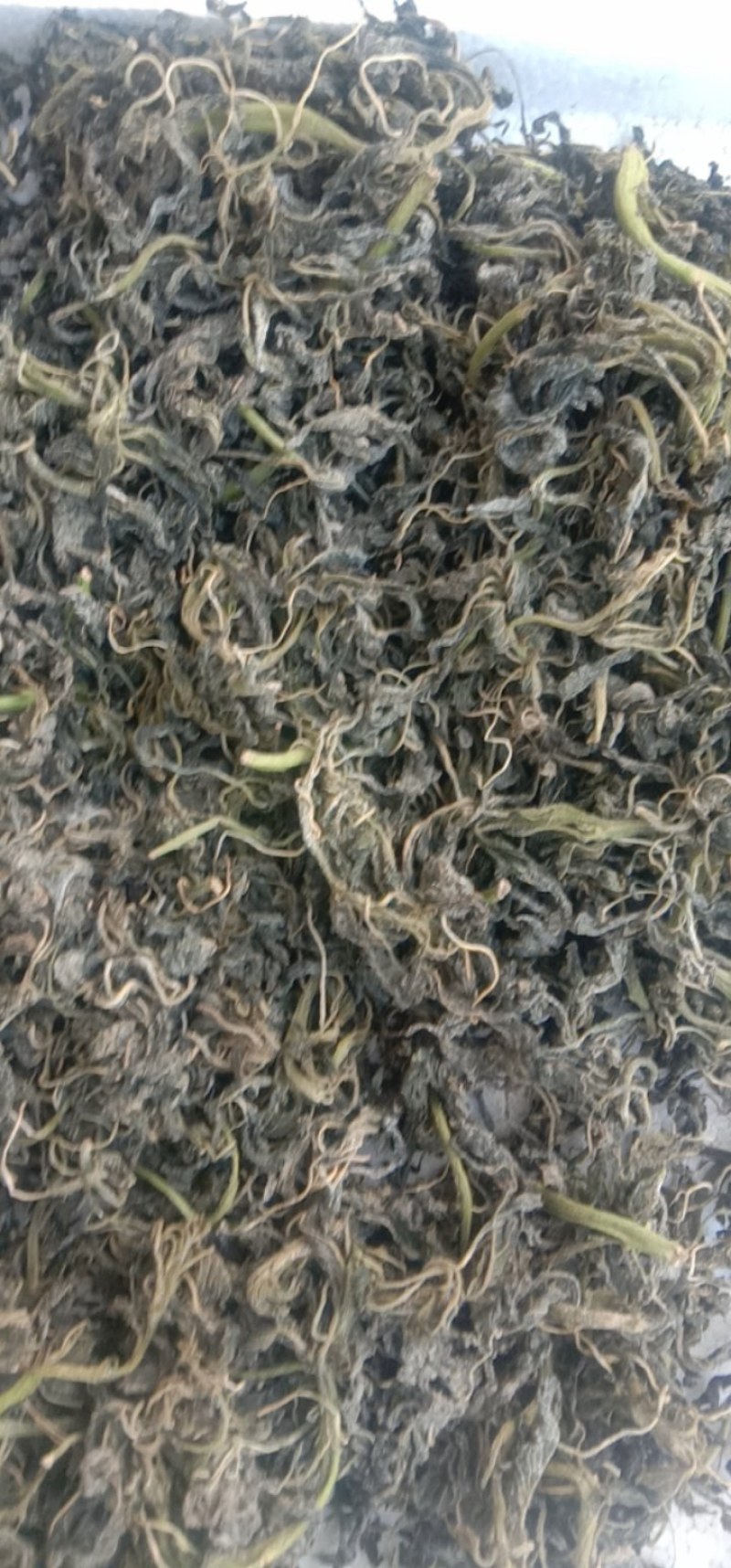 灰灰菜，灰菜，干菜！