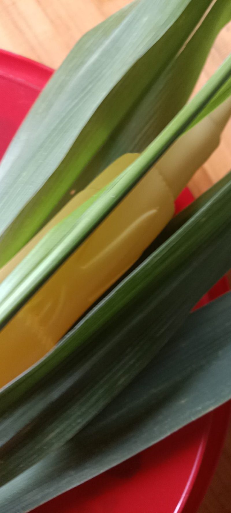 农家自种的茭白现货现搞批发，三斤为—件包邮。