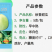 【秋香香瓜】优质杂交品种，口感脆甜，香味浓郁，产量优