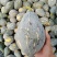 广西香芋南瓜大量上市，够香够粉，基地发货品质好