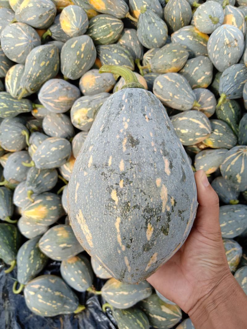 广西香芋南瓜大量上市，够香够粉，基地发货品质好
