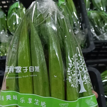 福建秋葵一手货源对接电商市场商超可视频看货保质量