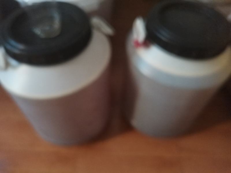荔枝蜜5月份荔枝开花期蜜有大部分封盖蜜（实名认证）